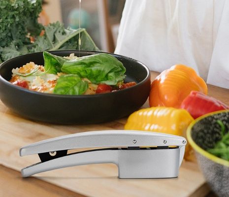Free sample 2 in 1 Manuel Garlic Press Mincer Kitchen Garlic Chopper Slicer Portable Garlic Grinding Crusher Masher Maker Outils à légumes