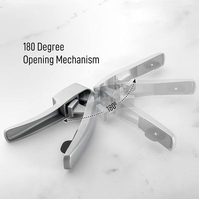 2 en 1 Ginger Chopper Alliage d'aluminium Press d'ail et trancheuse d'ail avec logo personnalisé