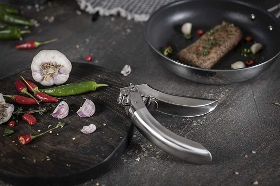 Grilleuse de cuisine multi presses à l'ail chaud en acier inoxydable pour les gadgets de cuisine durables
