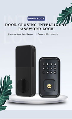 Sécurisez votre porte avec une serrure intelligente numérique alimentée par batterie et l'application wifi TTlock Tuya