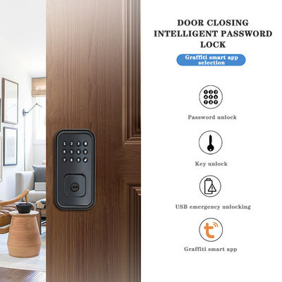 Sécurisez votre porte avec une serrure intelligente numérique alimentée par batterie et l'application wifi TTlock Tuya