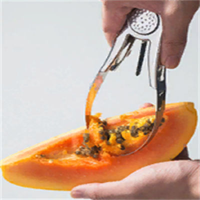 Outil de cuisine en acier inoxydable pour l'extraction durable des fruits et l'extraction des graines de mangue
