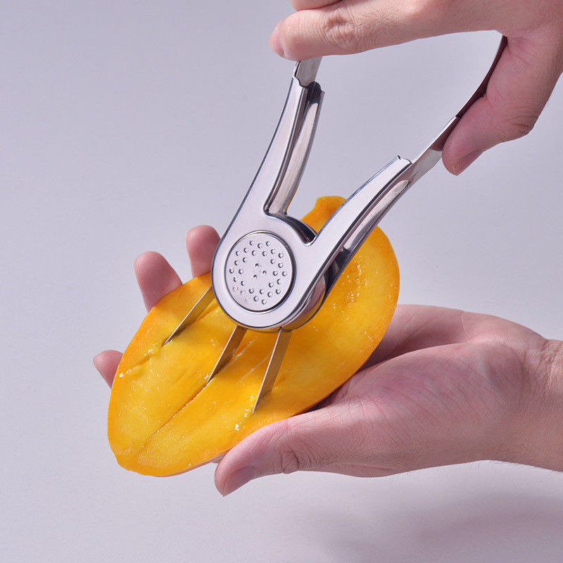 Outil de cuisine en acier inoxydable pour l'extraction durable des fruits et l'extraction des graines de mangue